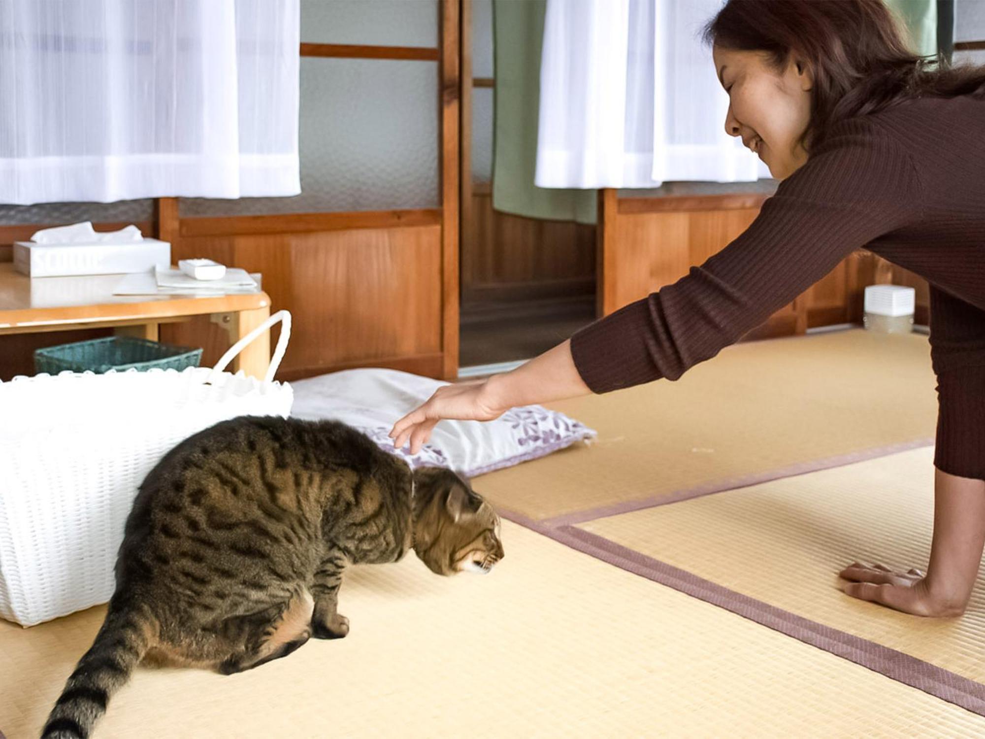 Guest Cafe Kuchikumano Hotel Kamitondacho Екстериор снимка